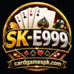 SK-E999 Game