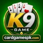 K9 Game